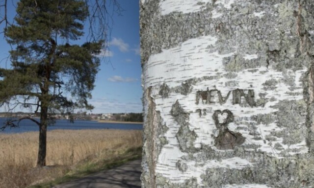 Årets beste true crime-serier puster liv i psykiatrihistoriens bitreste konflikt